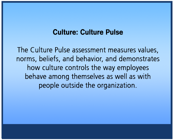 Culture: Culture Pulse The Culture Pulse assessment measures values, norms, beliefs, and behavior, and demonstrates how culture controls the way employees behave among themselves as well as with people outside the organization.