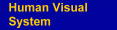 Human Visual System